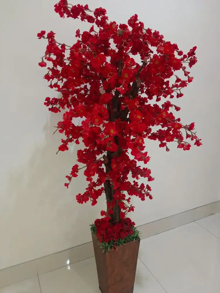 Pohon hias sakura merah