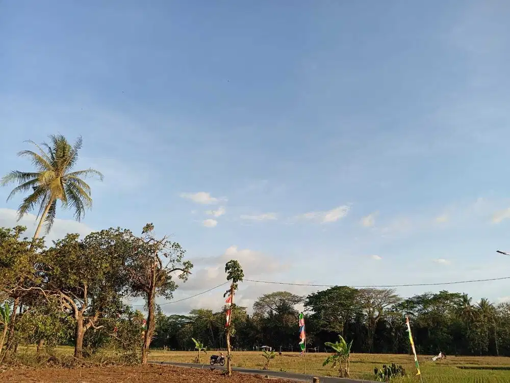 Barat Pasar Godean, Tanah dengan Udara Sejuk dan Pemandangan Hijau