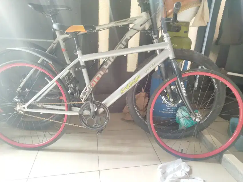 Sepeda fixie 24