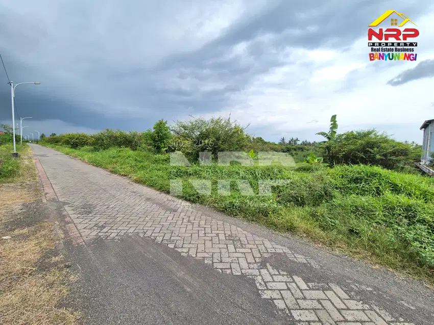 Dijual Tanah di Desa Kemiri, Singojuruh - Banyuwangi