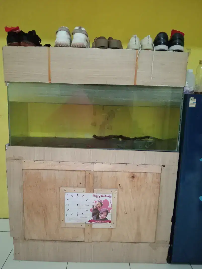 Aquarium murah meriah