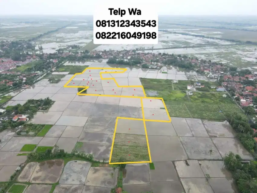 DIJUAL MURAH TANAH SAWAH PRODUKTIF, SHM DEKAT PEMUKIMAN & JALAN