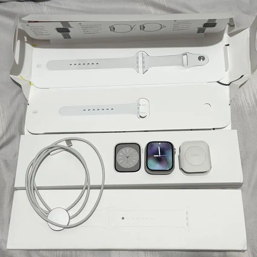 Apple Watch Series 8 (45 MM Silver)