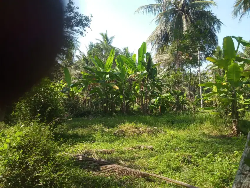 Dijual Tanah Pekarangan daerah Paitan, Kemiri, Purworejo