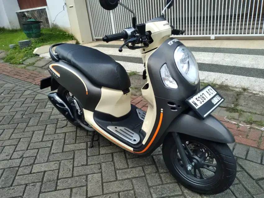 Scoopy 2024 orisinil