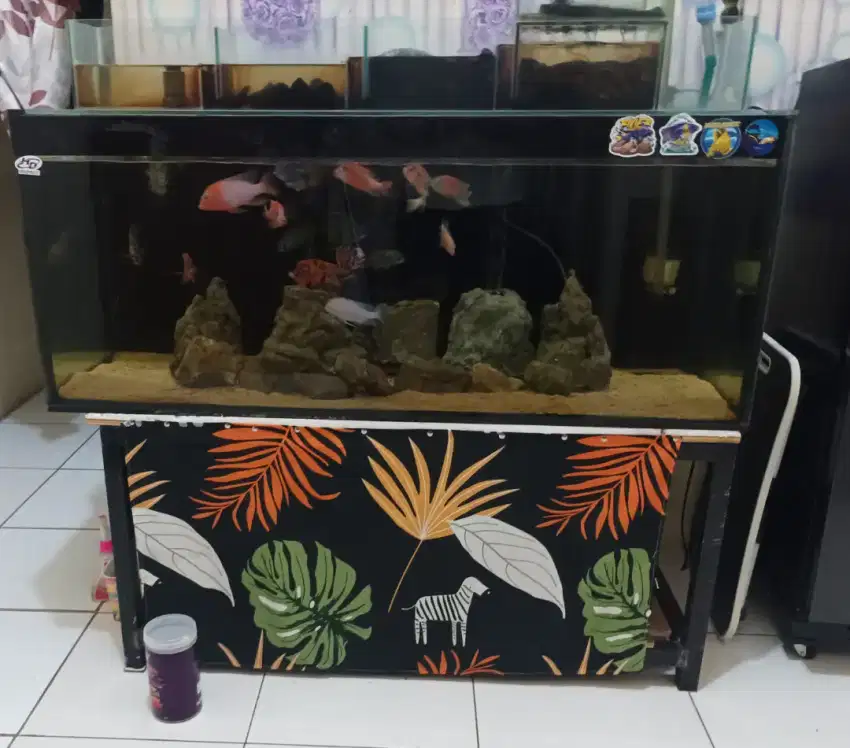 Aquarium 120x50x50 beserta rak holo 100x60x55