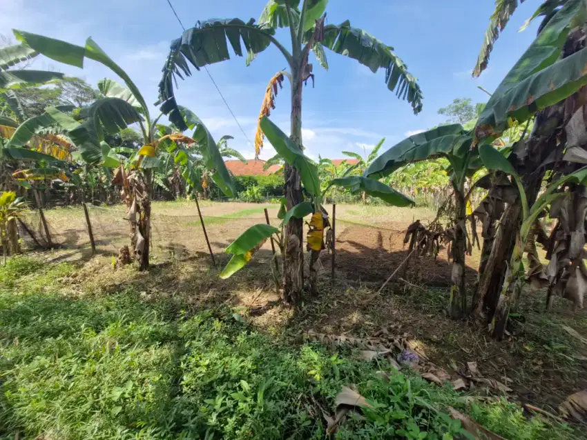 Tanah Dijual di slarang