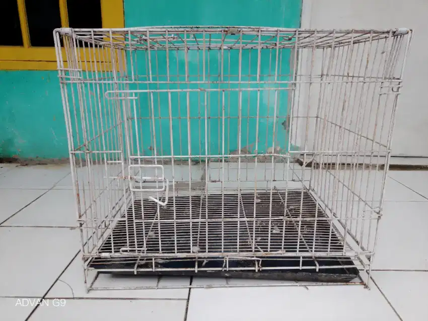 Kandang besi kucing ayam burung