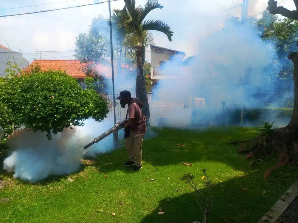 Fogging Nyamuk / Pengasapan Nyamuk