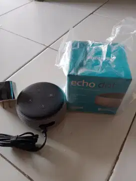 Smart voice amazon echo dot