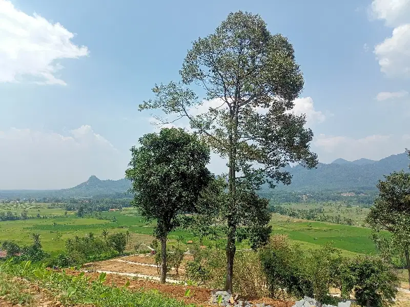 Tanah kavling villa wisata view pegunungan di Bogor