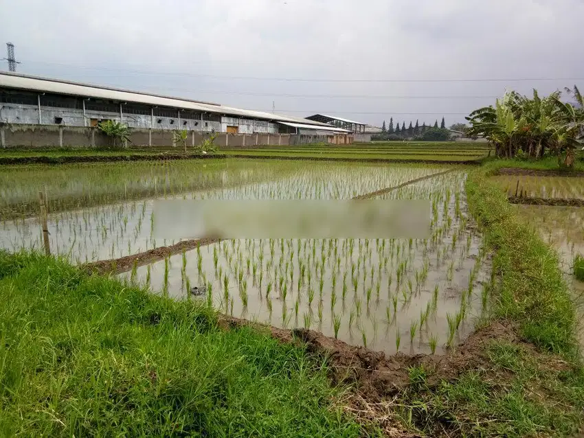 Tanah Cimareme Bandung