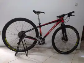 Sepeda mtb specialized 29ers