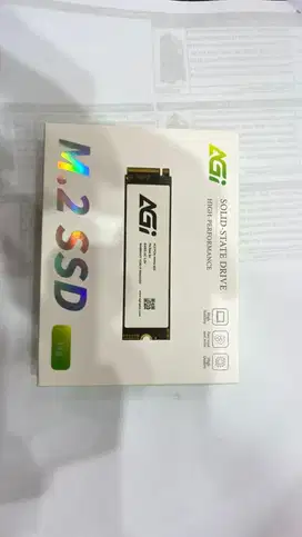 SSD NVMe  gen 3 AGI 1TB