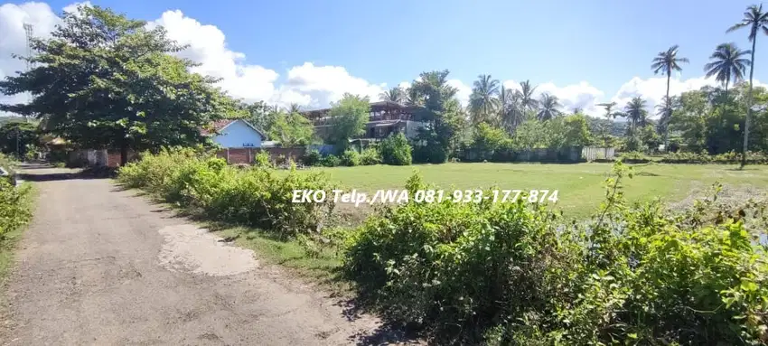 Tanah MURAH 500 meter dari Pantai Selong Belanak – Lombok