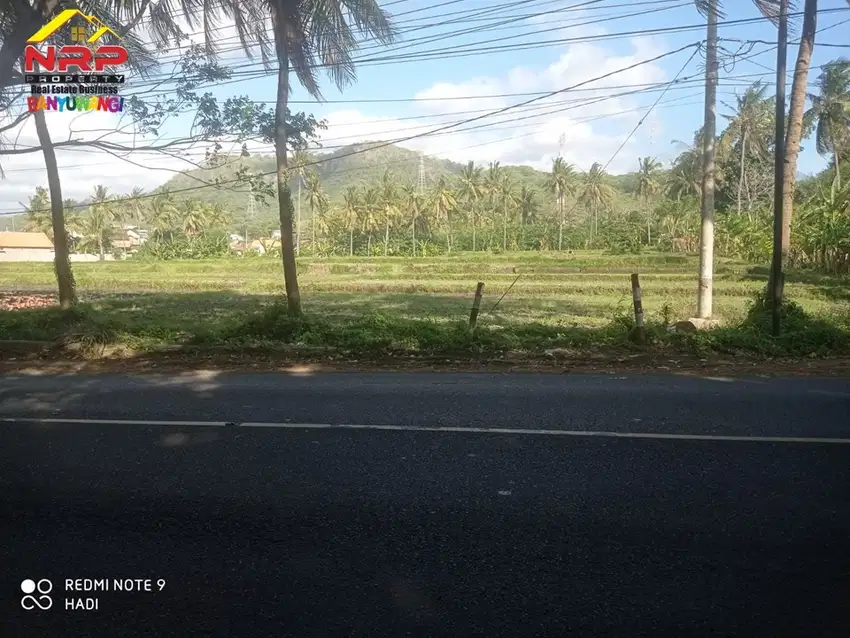 Dijual Tanah Sangat Strategis Tepi Jalan Provinsi View Pantai & Bukit