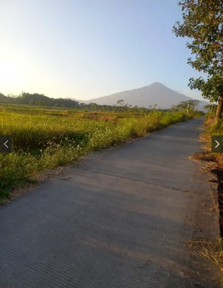 LAHAN MURAH AREA WISATA PACET - GONDANG