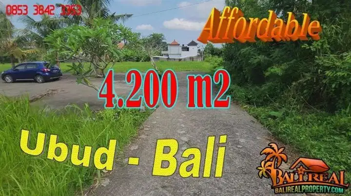 4,300 m2 Lahan Kering Siap Bangun area Bedulu