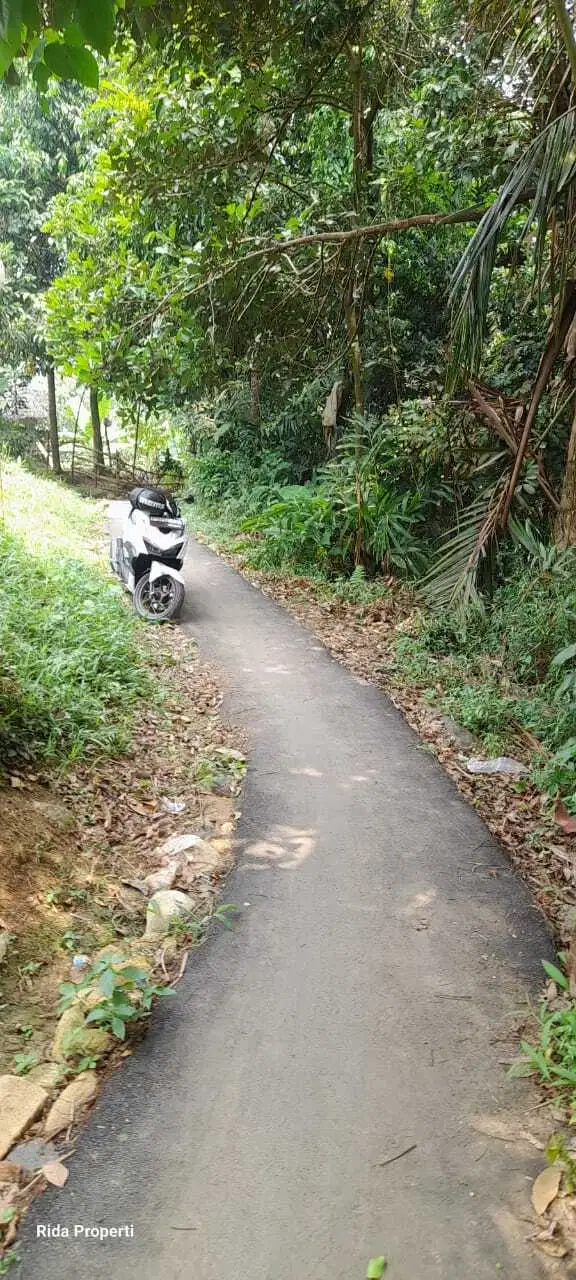 Tanah datar kebun produktif cocok untuk berkebun atau investasi