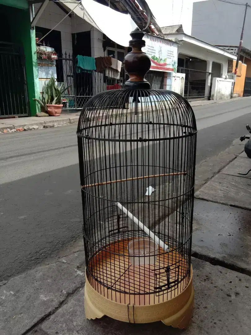 Kandang burung LB atau kenari