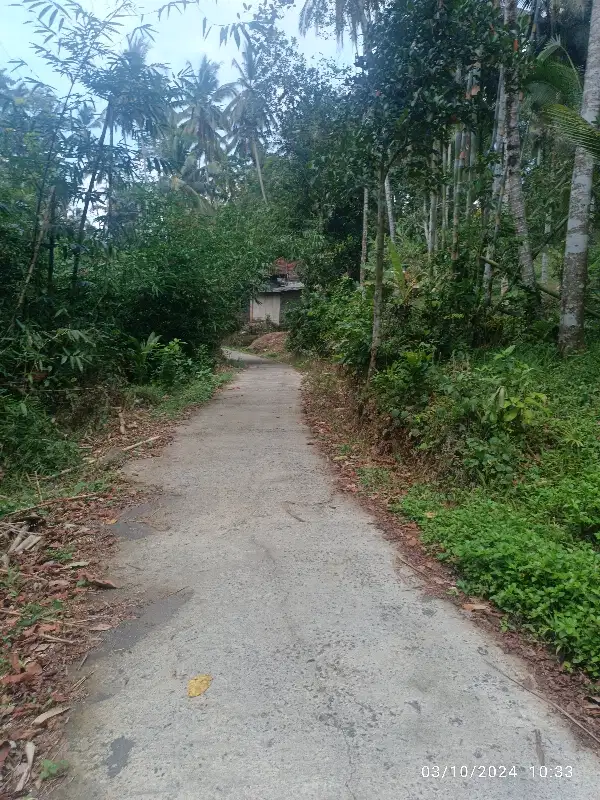 kebun Cocok untuk rumah atau villa di Pesagi Penebel