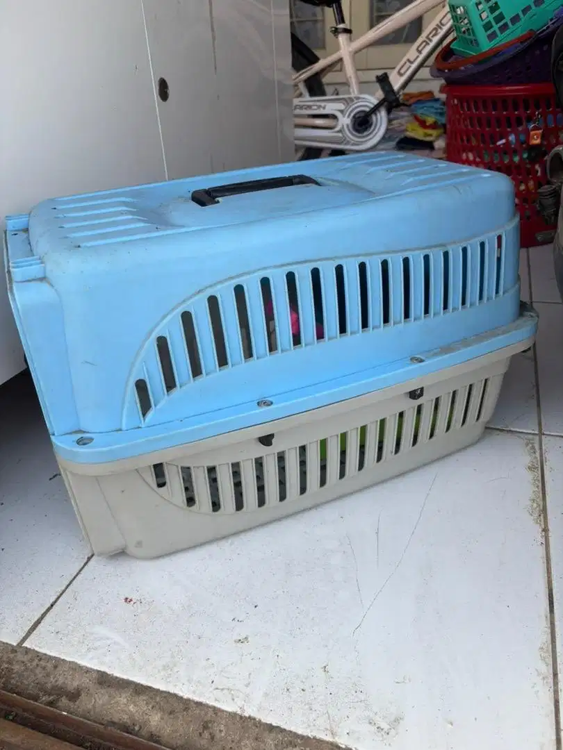 Pet Cargo Kandang Kucing