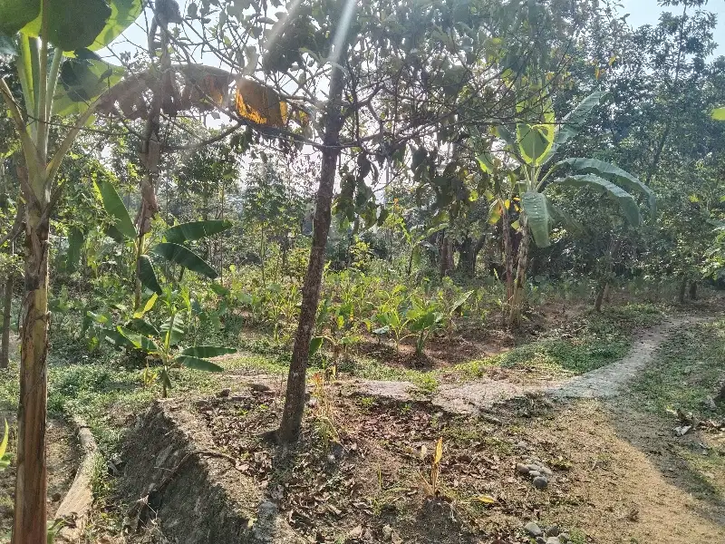 TANAH KOSONG/LAHAN LUAS   MURAH DI BOGOR