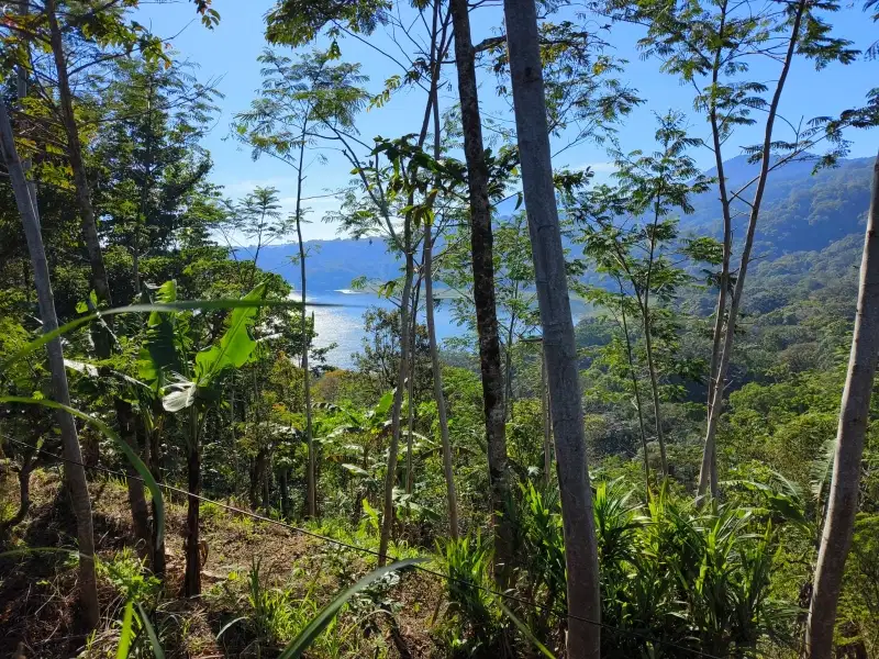 Dijual tanah kebun view danau dan 3 gunung cantik di bali