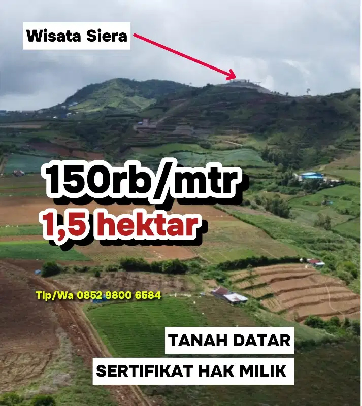 JUAL TANAH DEKAT WISATA SIERA MALINO, TANAH DATAR 1,5 HEKTAR