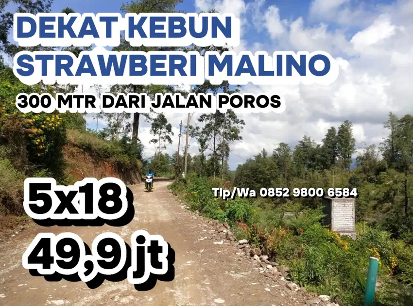 JUAL TANAH DI MALINO DEKAT KEBUN STRAWBERI