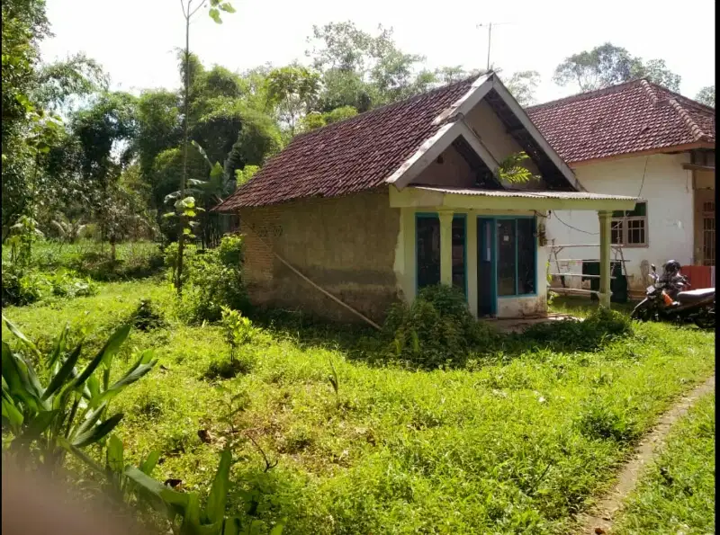 Tanah luas bonus rumah kidal tumpang malang