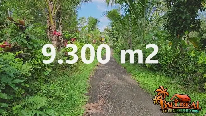 Affordable 9,300 sqm Land Sale in Penebel Tabanan