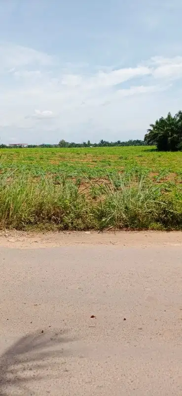 tanah 13 ha dekat tol wates lampung tengah