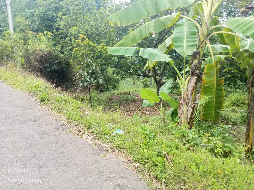 Tanah datar nempel jalan kabupaten jalur angkot jual murah meriah