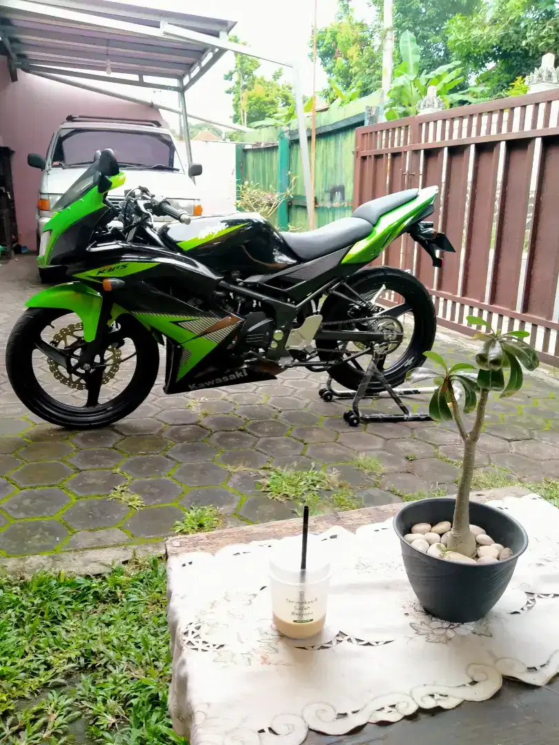 For Sale Kawasaki Ninja RR New 2014