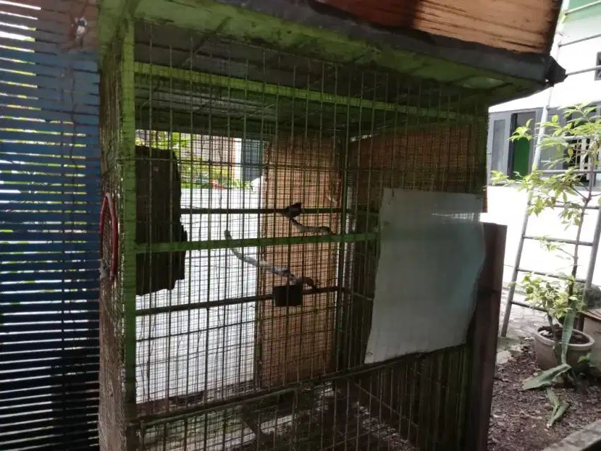 Dijual sangkar burung