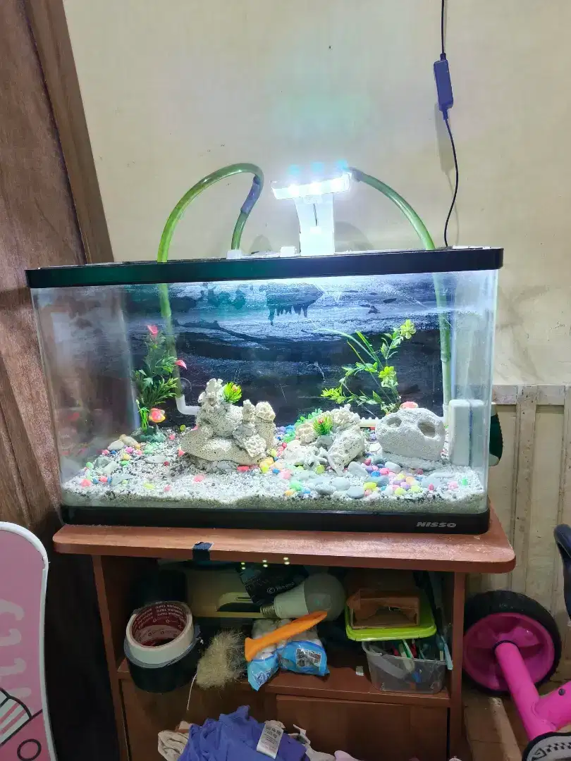 Aquarium Full Set Merk Nisso Lengkap Dengan Accessories dan Filter