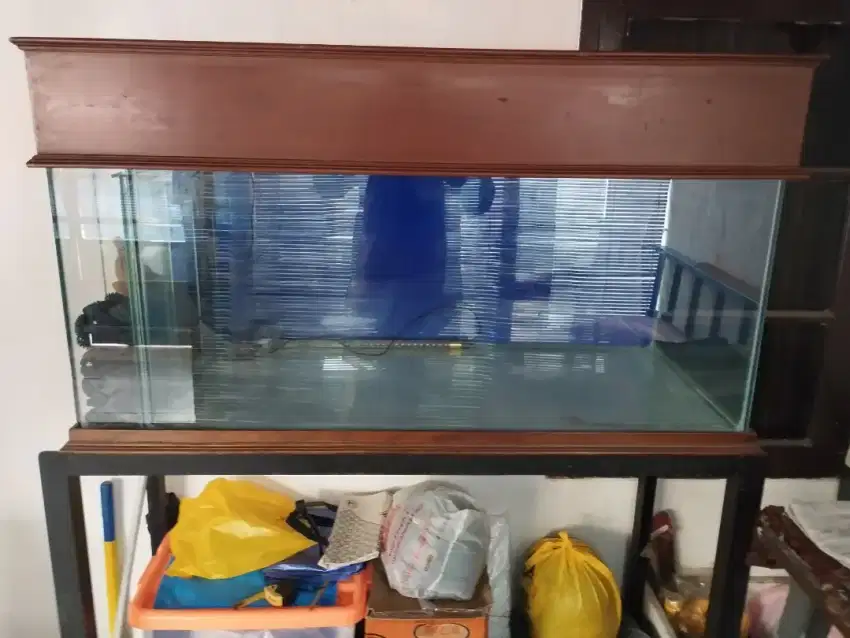 Akuarium Ikan Besar