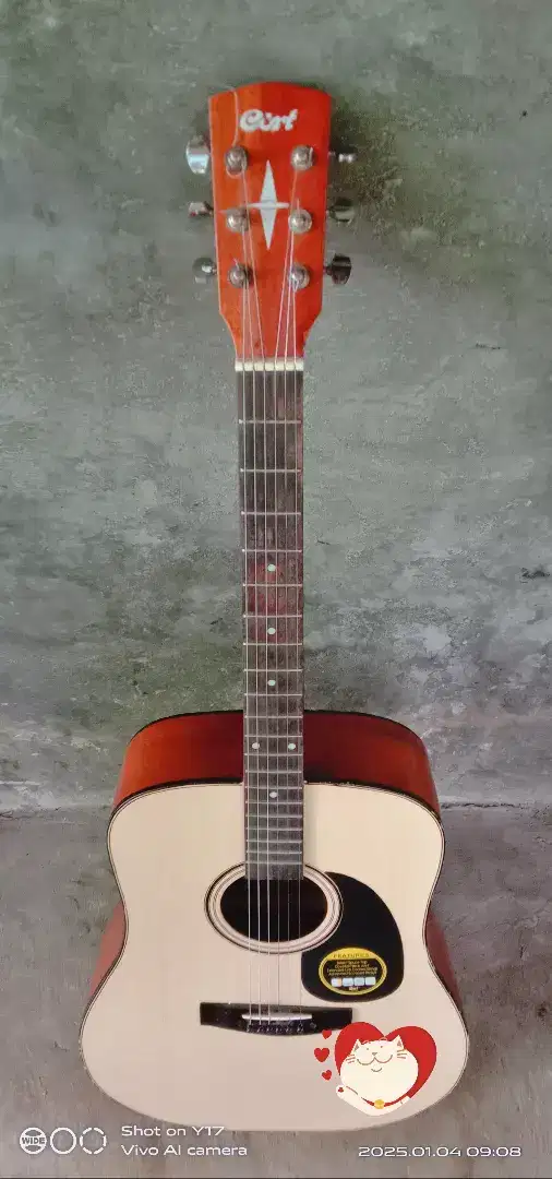 Gitar akustik cort