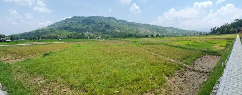 Dijual Kavling Sawah E5 Jonggol Bogor Timur