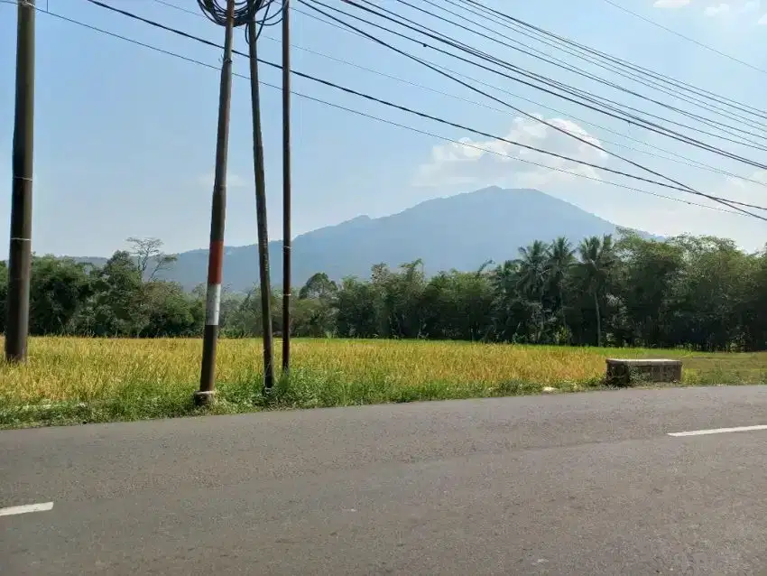 Dijual tanah pinggir Jl. Raya Mandalawangi - Pandeglang, 3550 m, SHM