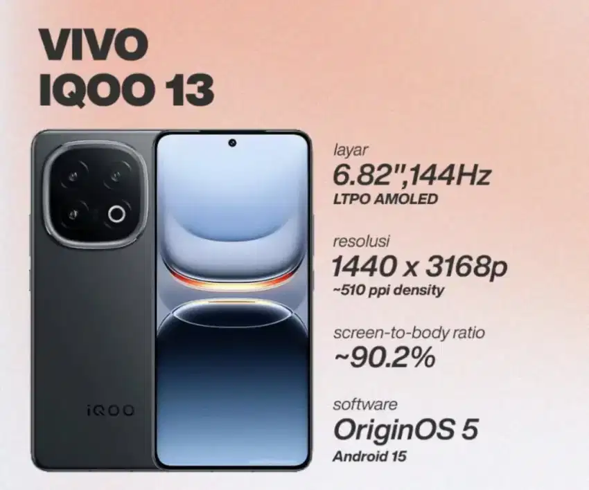 Vivo IQoo 13 12/512 GB