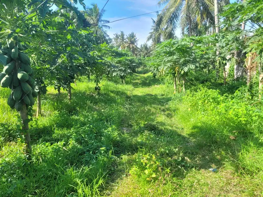 Tanah Pancoran Strategis untuk Gudang