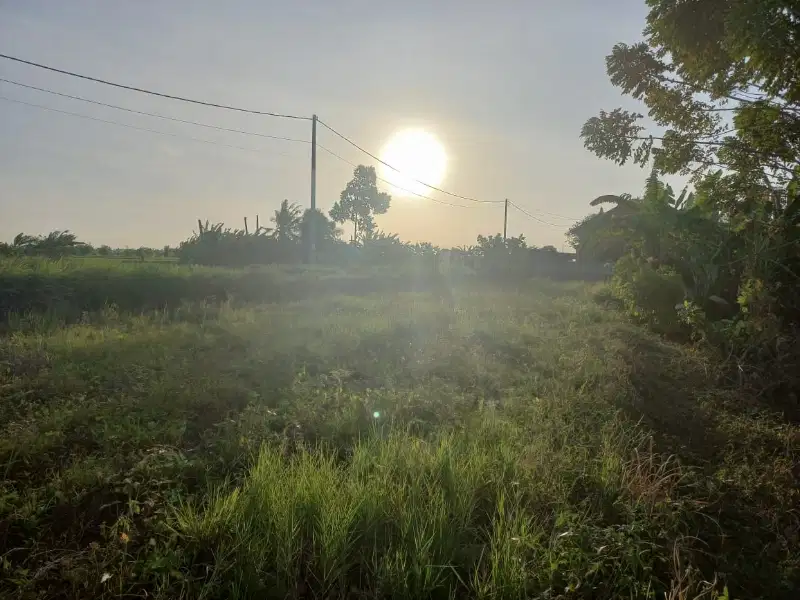 BUC  lahan view sunset and sungai.