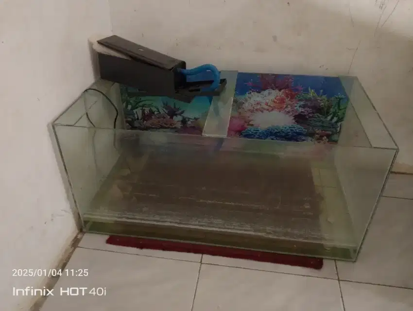 aquarium untuk ikan hias