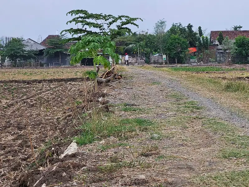 Tanah nol jalan desa termurah se jawa timur