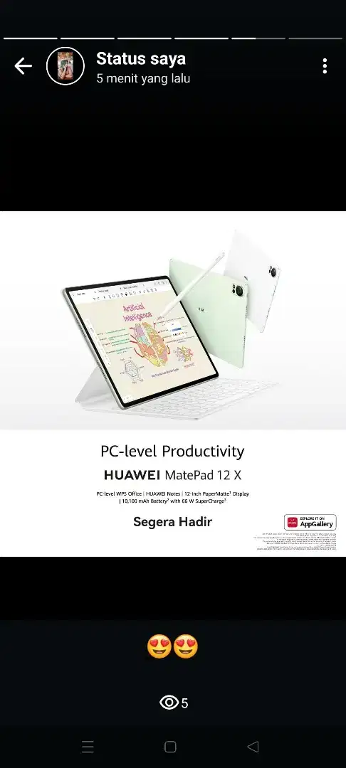 Pre order matepad 12x