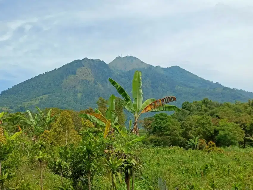 tanah shm non pertanian di kopeng