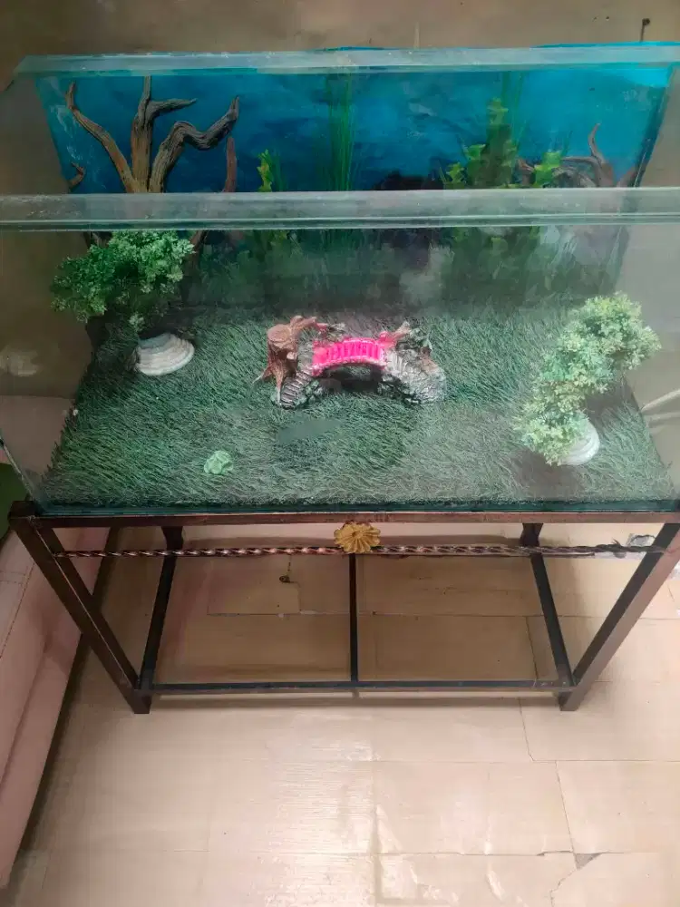 Dijual aquarium beserta dekorasinya