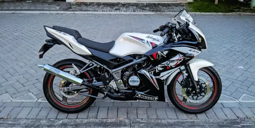 Kawasaki Ninja RR Special Edition 2013